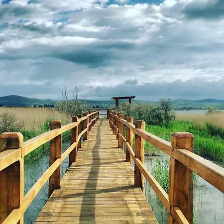 Korina * Drliceve Kuce